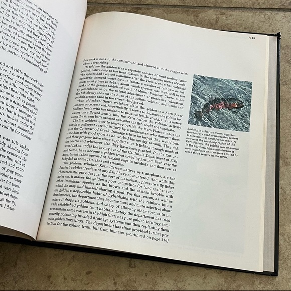 American Wilderness Ser.: The High Sierra by Ezra Bowen (1972, Hardcover) - Picture 6 of 9